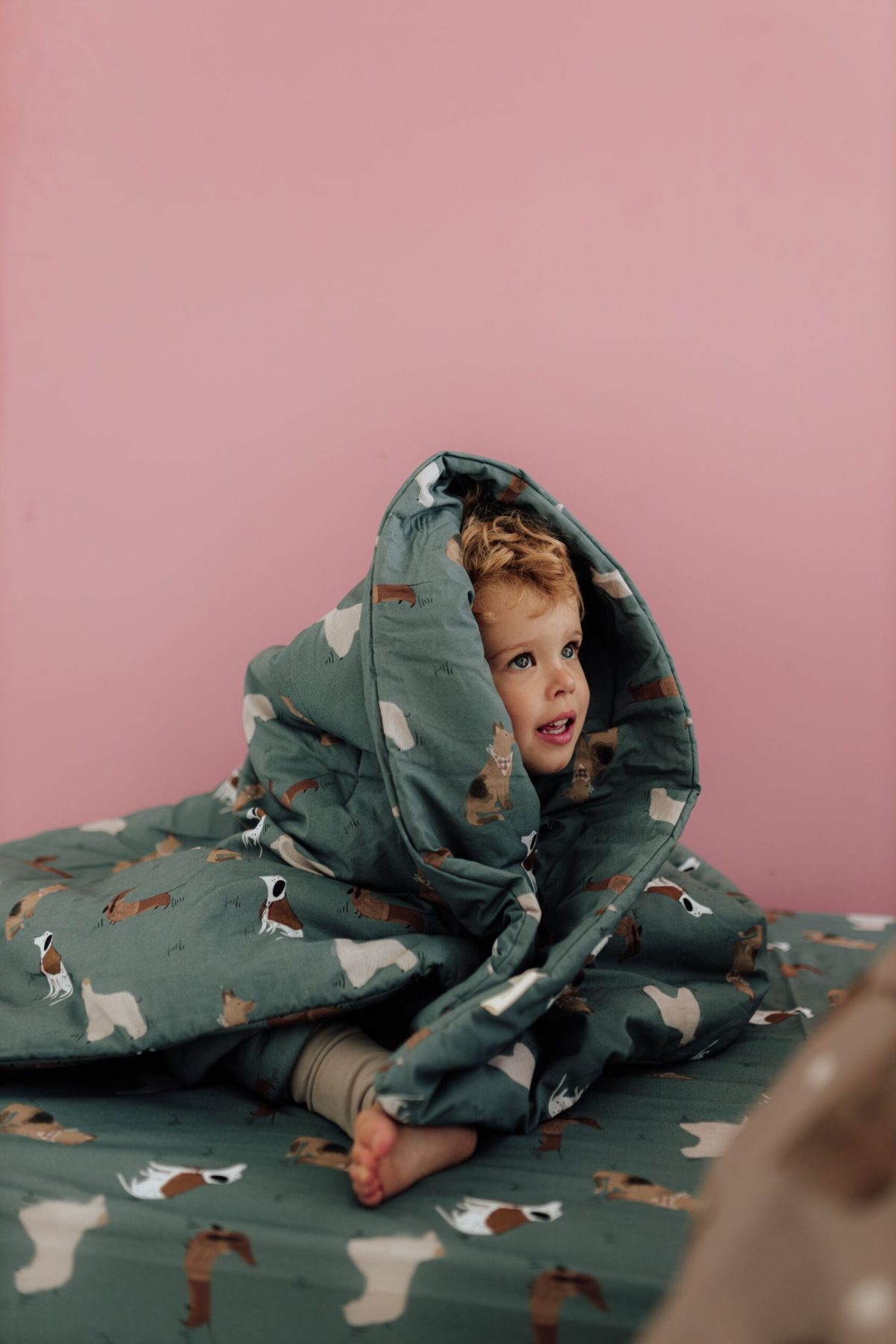 Pościel z wypełnieniem wzór Pieski - obrazek 2