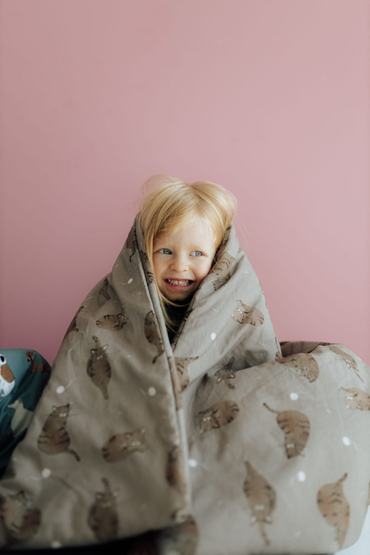 Pościel z wypełnieniem wzór Kotki - obrazek 2