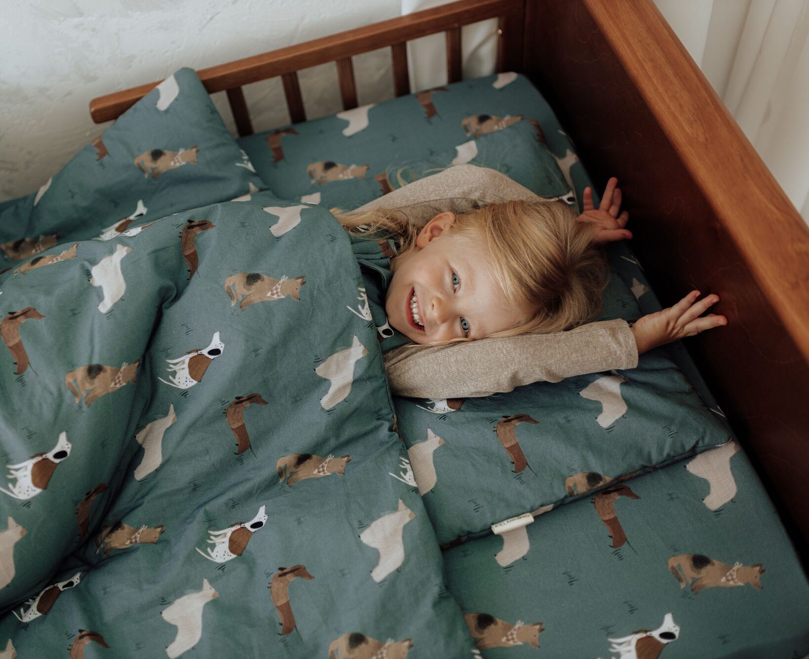 Poduszka - wzór Pieski